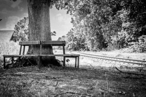 Bank an den Gleisen in Stockum